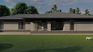 D383 "Лагуз" фото 3